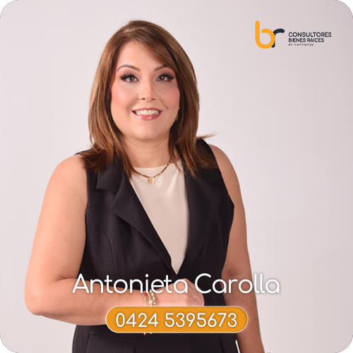 inmobiliaria-barquisimeto-br consultores-lara-venezuela-alquiler-oficinas-locales-terrenos-galpones-casas-venta-compra-broker